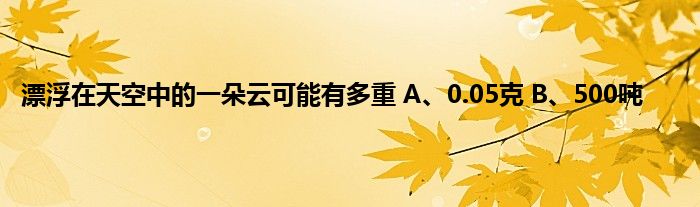 漂浮在天空中的一朵云可能有多重 A、0.05克 B、500吨