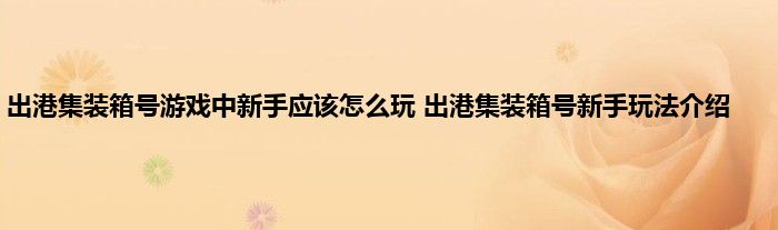 出港集装箱号游戏中新手应该怎么玩 出港集装箱号新手玩法介绍