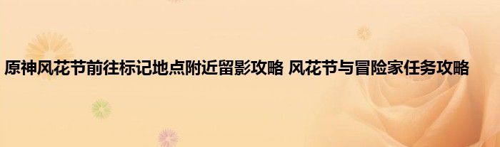 原神风花节前往标记地点附近留影攻略 风花节与冒险家任务攻略