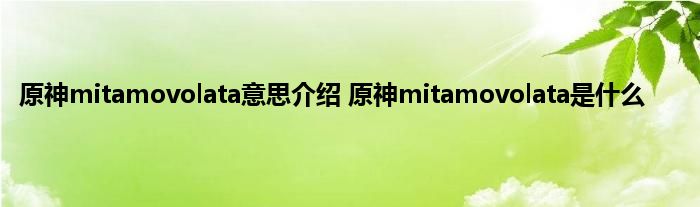 原神mitamovolata意思介绍 原神mitamovolata是什么