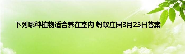 下列哪种植物适合养在室内 蚂蚁庄园3月25日答案