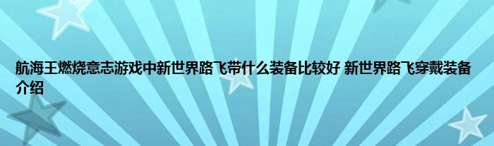 航海王燃烧意志游戏中新世界路飞带什么装备比较好 新世界路飞穿戴装备介绍