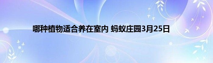 哪种植物适合养在室内 蚂蚁庄园3月25日