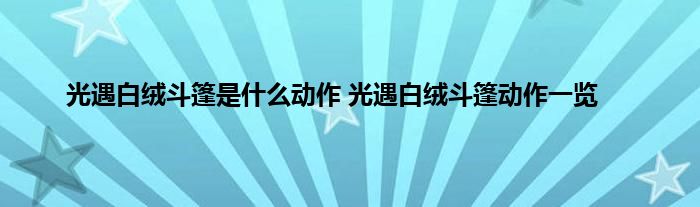 光遇白绒斗篷是什么动作 光遇白绒斗篷动作一览