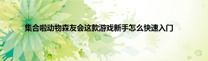 集合啦动物森友会这款游戏新手怎么快速入门