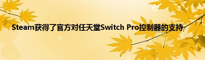 Steam获得了官方对任天堂Switch Pro控制器的支持