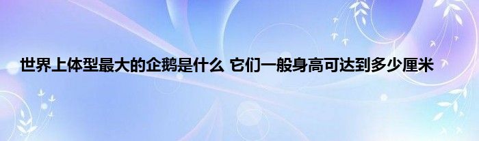 世界上体型最大的企鹅是什么 它们一般身高可达到多少厘米