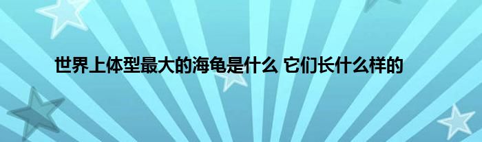 世界上体型最大的海龟是什么 它们长什么样的