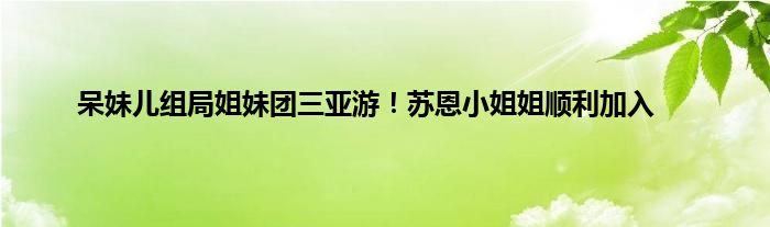 呆妹儿组局姐妹团三亚游！苏恩小姐姐顺利加入