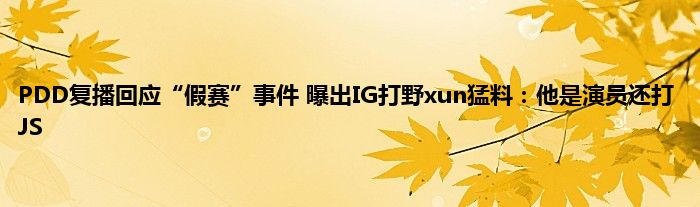 PDD复播回应“假赛”事件 曝出IG打野xun猛料：他是演员还打JS