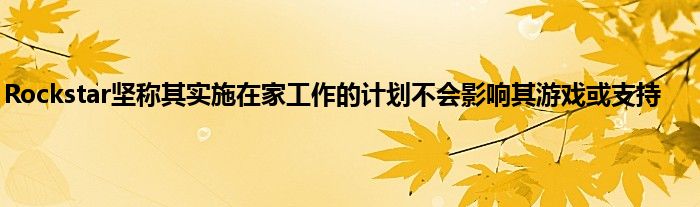 Rockstar坚称其实施在家工作的计划不会影响其游戏或支持