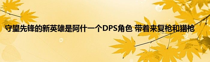 守望先锋的新英雄是阿什一个DPS角色 带着来复枪和猎枪