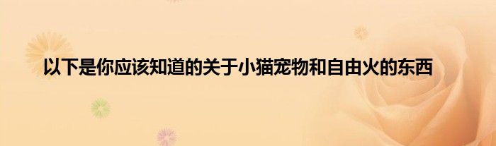 以下是你应该知道的关于小猫宠物和自由火的东西