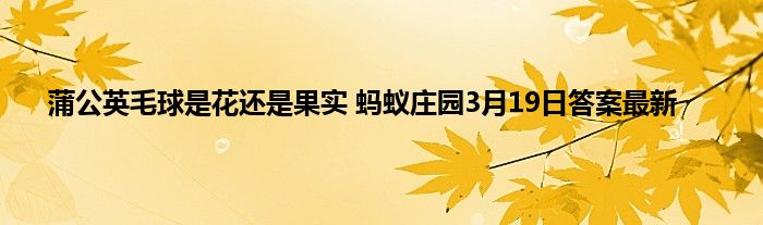 蒲公英毛球是花还是果实 蚂蚁庄园3月19日答案最新