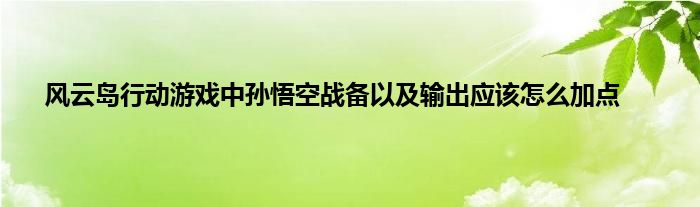 风云岛行动游戏中孙悟空战备以及输出应该怎么加点