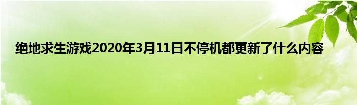 绝地求生游戏2020年3月11日不停机都更新了什么内容