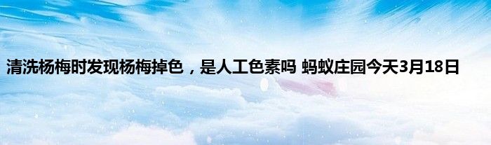 清洗杨梅时发现杨梅掉色，是人工色素吗 蚂蚁庄园今天3月18日