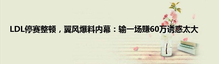 LDL停赛整顿，翼风爆料内幕：输一场赚60万诱惑太大