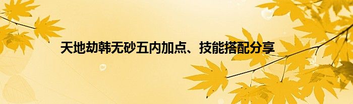 天地劫韩无砂五内加点、技能搭配分享