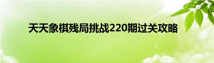 天天象棋残局挑战220期过关攻略