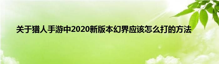 关于猎人手游中2020新版本幻界应该怎么打的方法