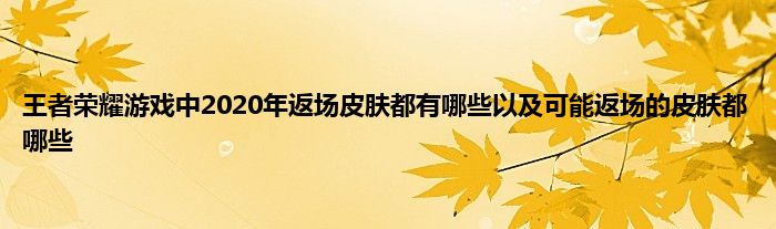 王者荣耀游戏中2020年返场皮肤都有哪些以及可能返场的皮肤都哪些