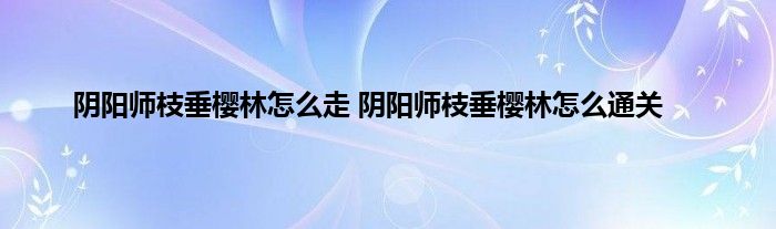 阴阳师枝垂樱林怎么走 阴阳师枝垂樱林怎么通关