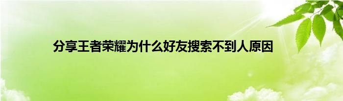 分享王者荣耀为什么好友搜索不到人原因