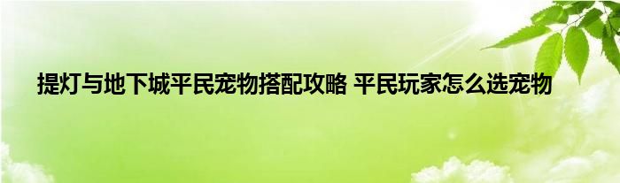 提灯与地下城平民宠物搭配攻略 平民玩家怎么选宠物