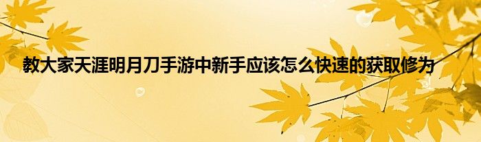 教大家天涯明月刀手游中新手应该怎么快速的获取修为