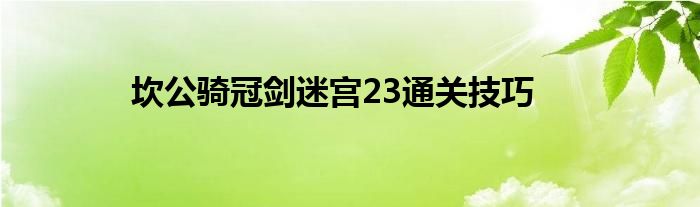 坎公骑冠剑迷宫23通关技巧