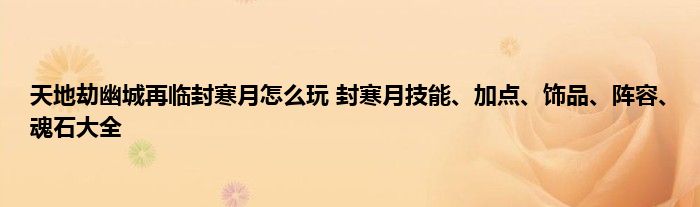 天地劫幽城再临封寒月怎么玩 封寒月技能、加点、饰品、阵容、魂石大全