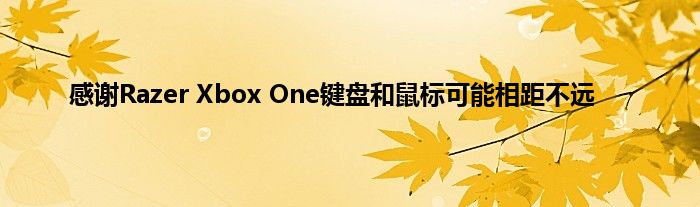 感谢Razer Xbox One键盘和鼠标可能相距不远