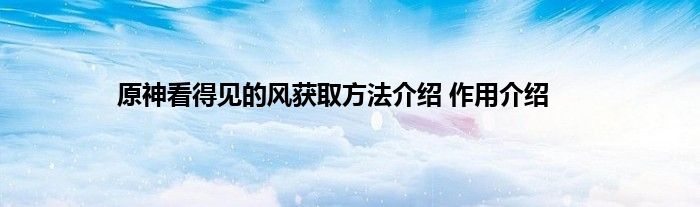 原神看得见的风获取方法介绍 作用介绍