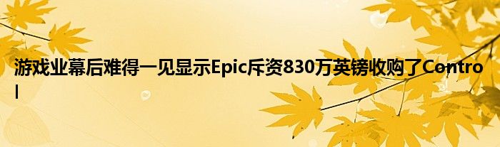 游戏业幕后难得一见显示Epic斥资830万英镑收购了Control