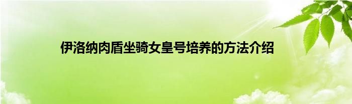 伊洛纳肉盾坐骑女皇号培养的方法介绍