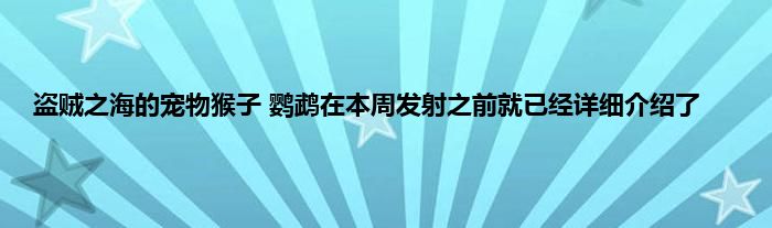 盗贼之海的宠物猴子 鹦鹉在本周发射之前就已经详细介绍了