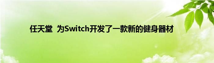 任天堂  为Switch开发了一款新的健身器材