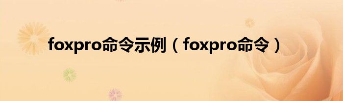 foxpro命令示例（foxpro命令）