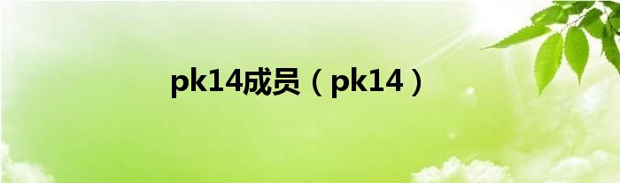 pk14成员（pk14）