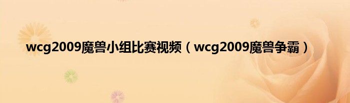 wcg2009魔兽小组比赛视频（wcg2009魔兽争霸）