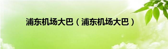 浦东机场大巴（浦东机场大巴）