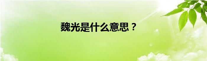 魏光是是什么意思？