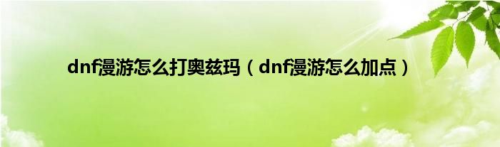 dnf漫游怎么打奥兹玛（dnf漫游怎么加点）