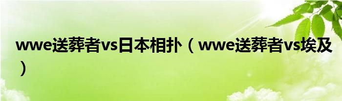 wwe送葬者vs日本相扑（wwe送葬者vs埃及）