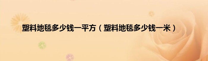 塑料地毯多少钱一平方（塑料地毯多少钱一米）