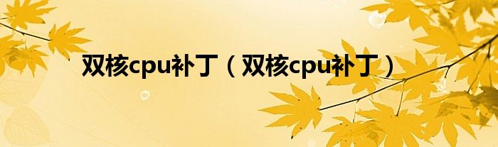 双核cpu补丁（双核cpu补丁）