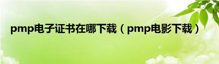 pmp电子证书在哪下载（pmp电影下载）