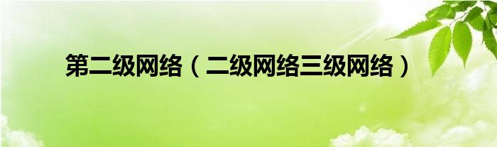 第二级网络（二级网络三级网络）