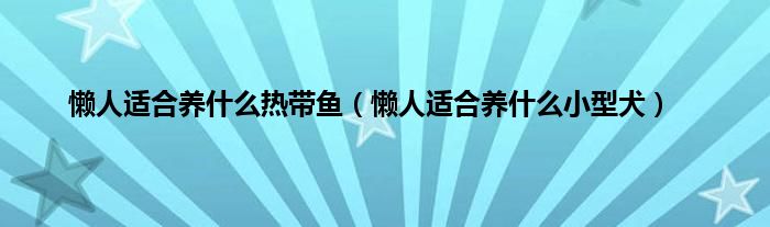 懒人适合养是什么热带鱼（懒人适合养是什么小型犬）